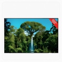 Dansat Smart TV 100 Inch QLED 4K – webOS – Model DTQ100U144HZ